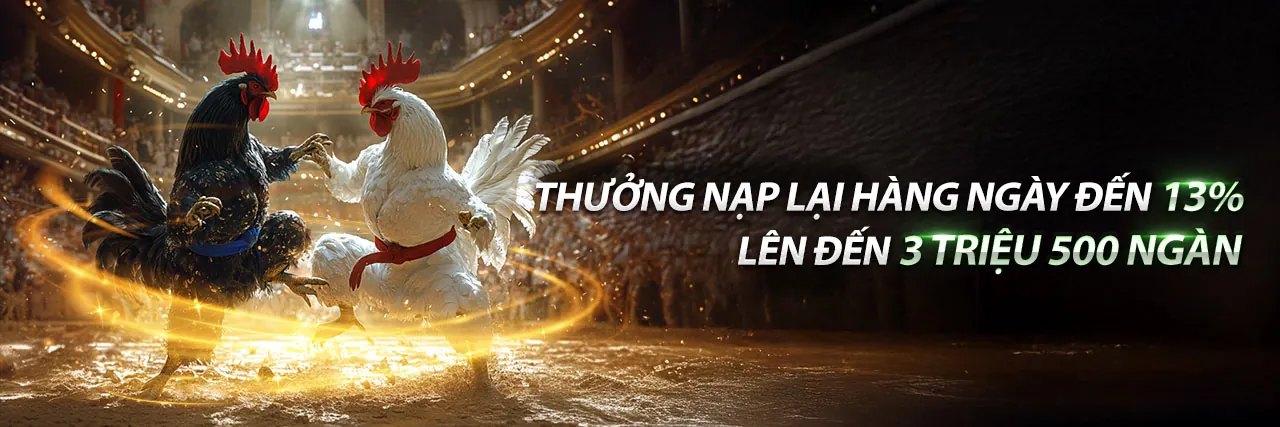 Trận đấu đá gà kịch tính tại Betvisa